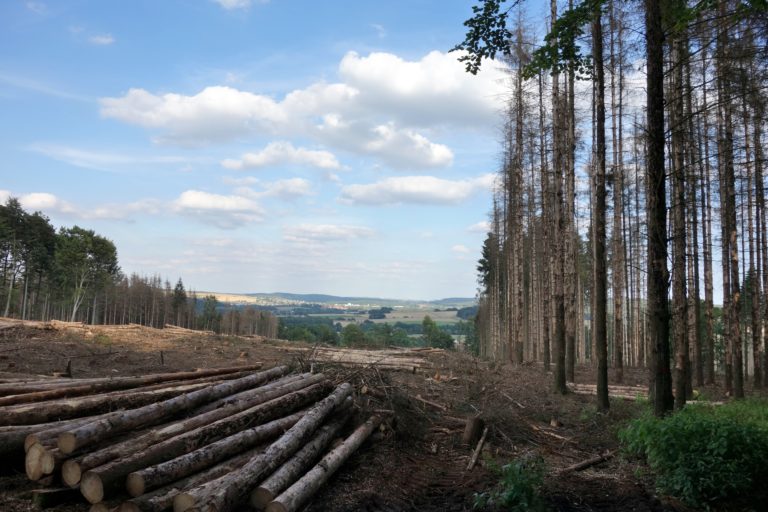 Klimaschutz – Klimafolgenanpassung